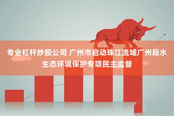 专业杠杆炒股公司 广州市启动珠江流域广州段水生态环境保护专项民主监督