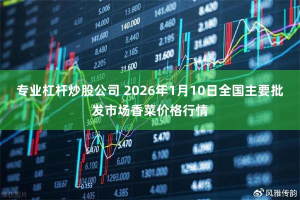专业杠杆炒股公司 2026年1月10日全国主要批发市场香菜价格行情