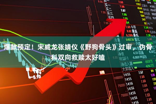 爆款预定！宋威龙张婧仪《野狗骨头》过审，伪骨科双向救赎太好嗑